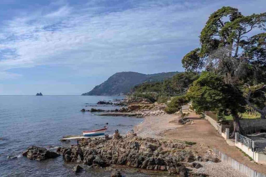 Apartmán Le Criotto La Seyne-sur-Mer Exteriér fotografie